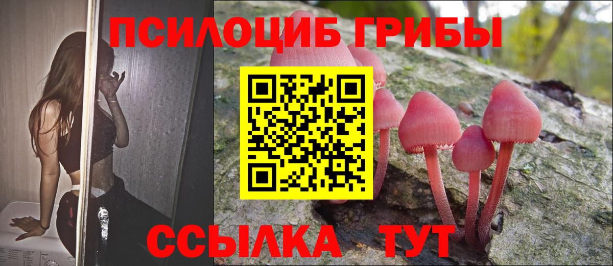 Псилоцибиновые грибы мицелий  Вход с VPN  Клин 